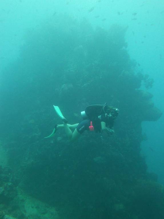 Mergulhando nos pináculos submersos em Soufriere, sul de Santa Lúcia, no Caribe